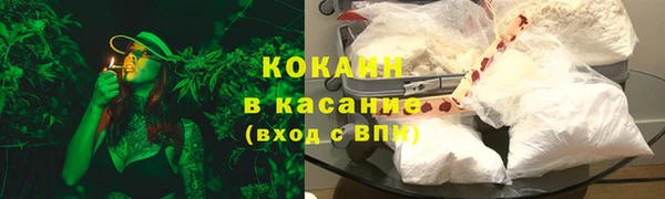 прущие грибы Россошь