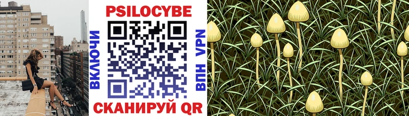 Галлюциногенные грибы Psilocybine cubensis  где купить   Карпинск 